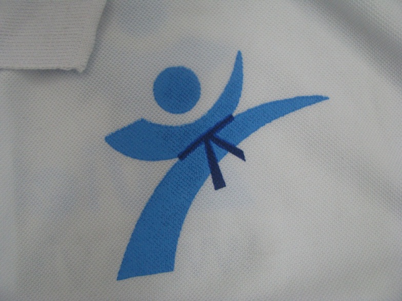 Áo phông đồng phục Karatedo Vietnhatclub
